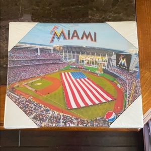 Marlins Stadium Miami Canvas Art